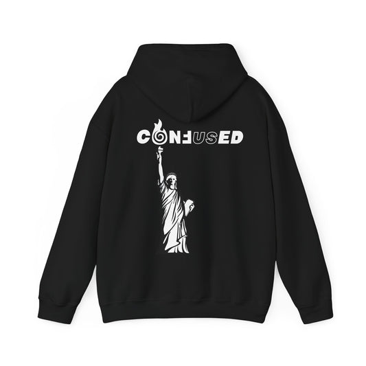 statue of confuse Hoodie